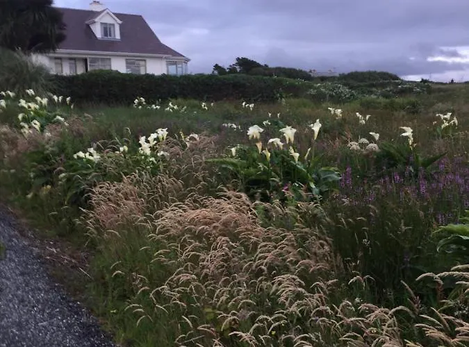 Frühstückspension Dal Riada Gweedore