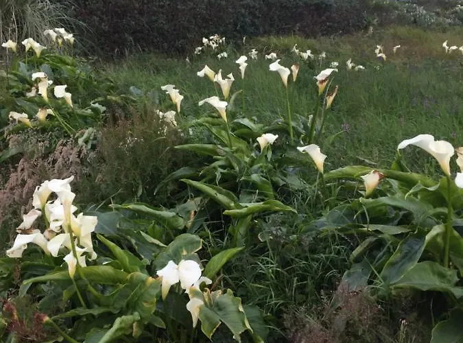 Frühstückspension Dal Riada